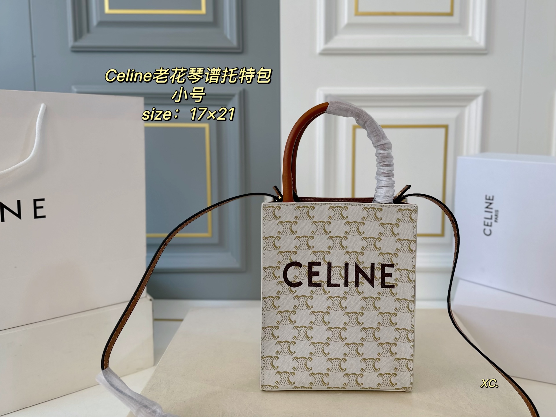 CELINE bag 10